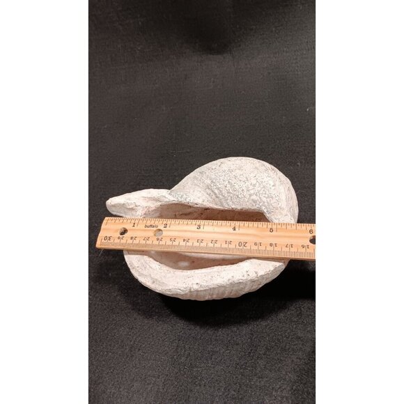 Cute Sea Shell Planter Box Home Decor Beach Themed Planter Cottage Beach House - Picture 8 of 13